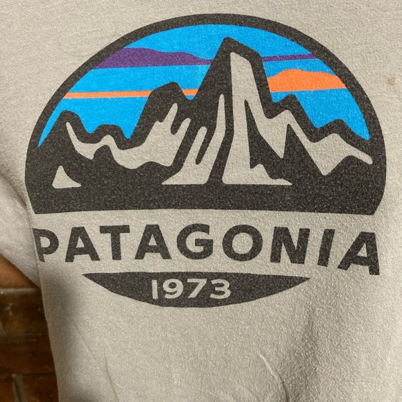 Patagonia Gray Graphic Men's Tee - Picture 2 of 4